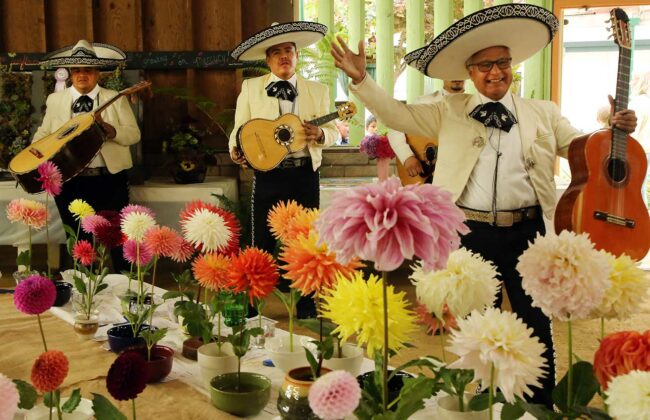 santa cruz county fair