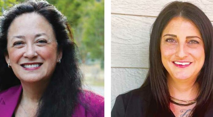 Candidates vying for Santa Cruz County’s District 2 seat kim de serpa kristen brown