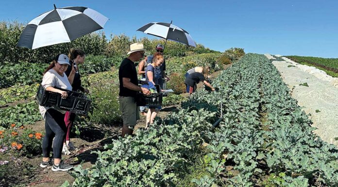 open farm tour esperanza community farms