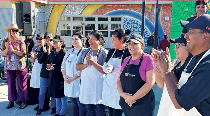 farm to cafeteria festival pajaro valley high school