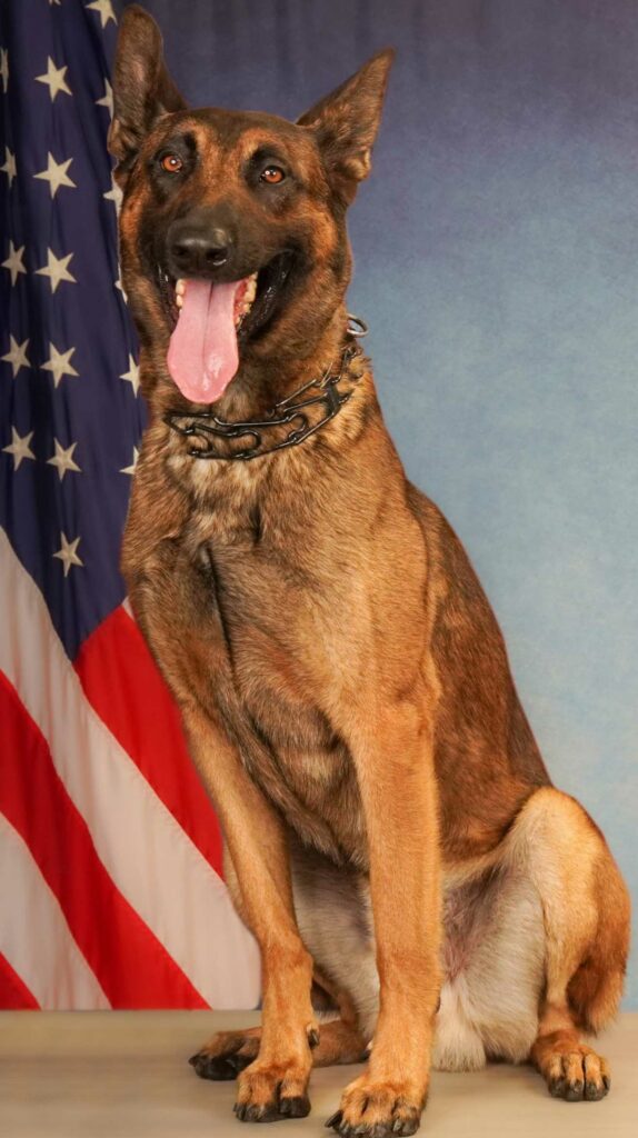 Watsonville Police K-9 Officer Cruze.