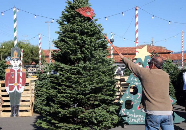 small business saturday east lake village shopping center