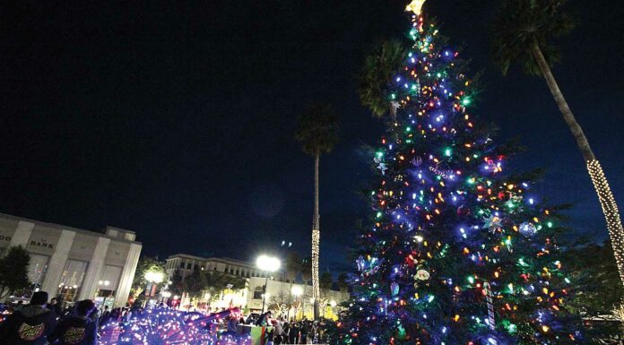 watsonville plaza tree lighting 2018