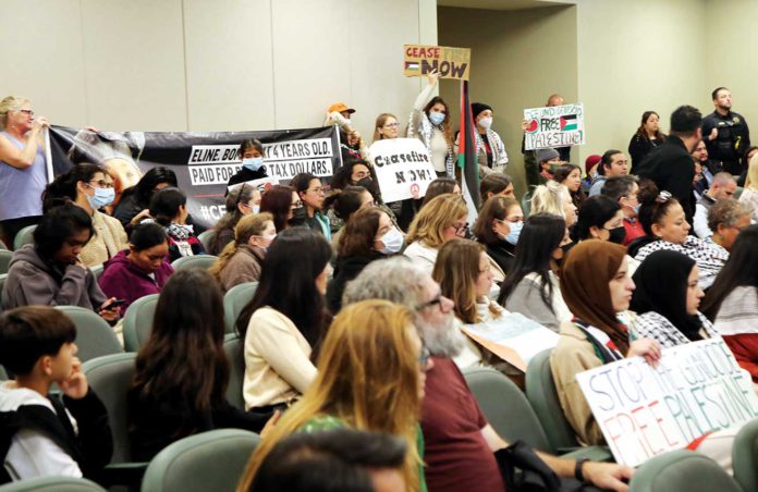 watsonville city council chambers israel gaza