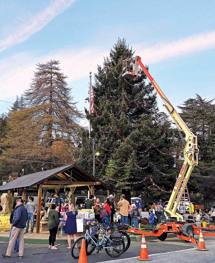 corralitos tree decorating