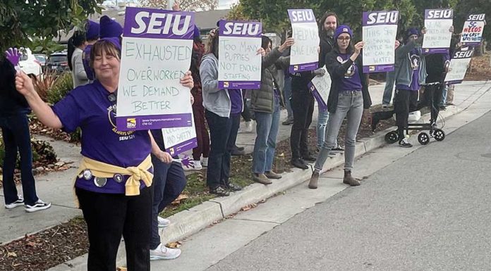 santa cruz county animal services picket