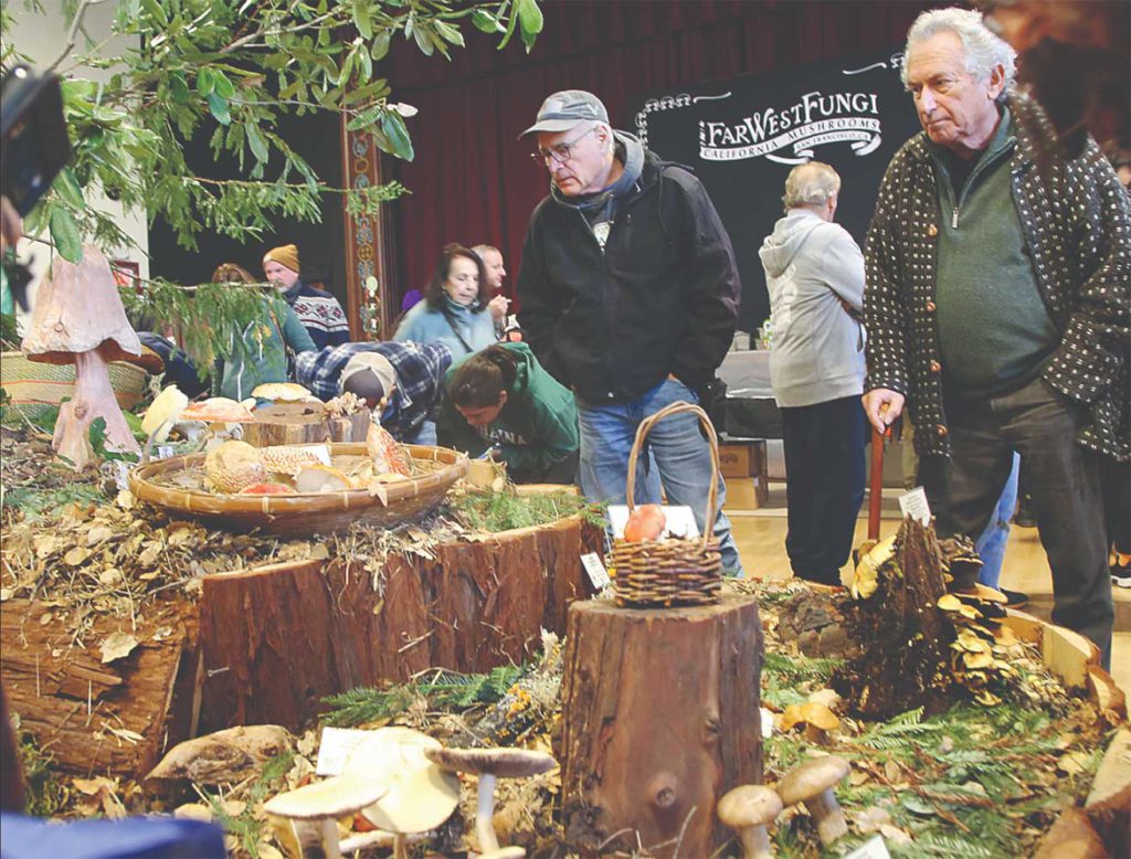 santa cruz fungus fair