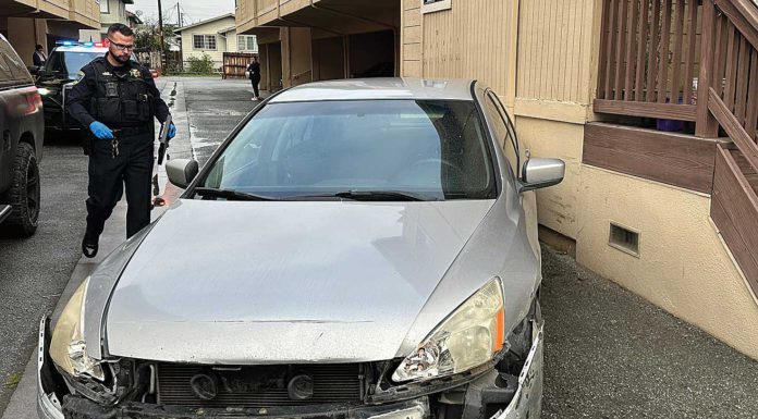 stolen car chase watsonville police riverside drive