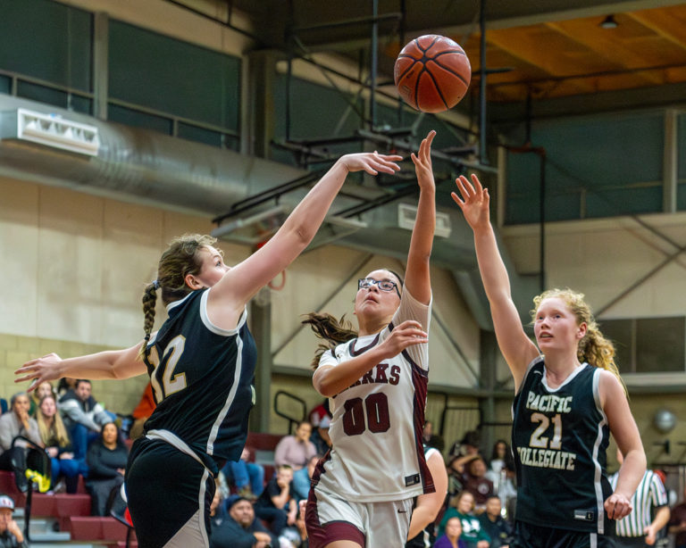 St. Francis’ Maya Calfee given Cypress Division’s top honor | All-PCAL girls basketball 