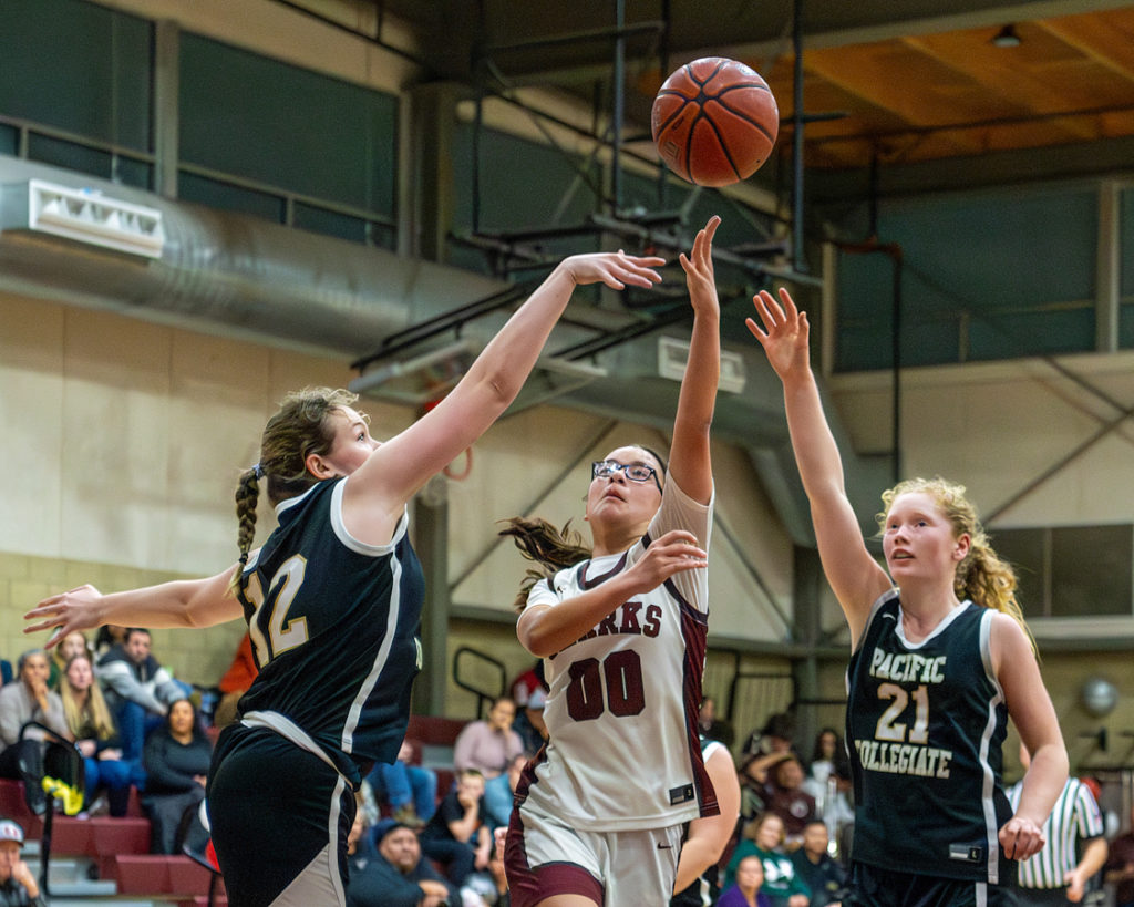 Maya Calfee St. Francis girls basketball Year in Sports 2023-24