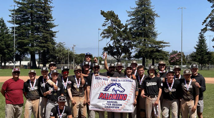 DubTown baseball captures third straight NorCal Palomino Super Region title