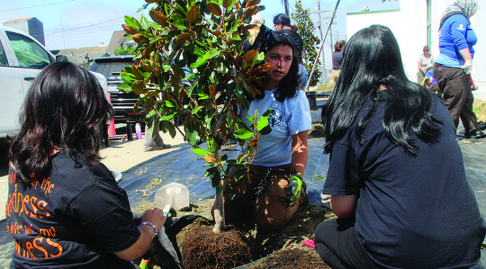 Growing roots at Pajaro Middle School