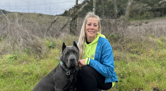 St. Francis alumna Sabrina Bracken takes over girls’ volleyball program