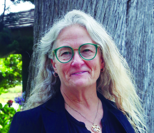 Challenger vies for PVUSD trustee seat