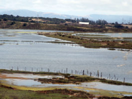 Elkhorn Slough, other natural areas, receive $71M grant for climate resilience