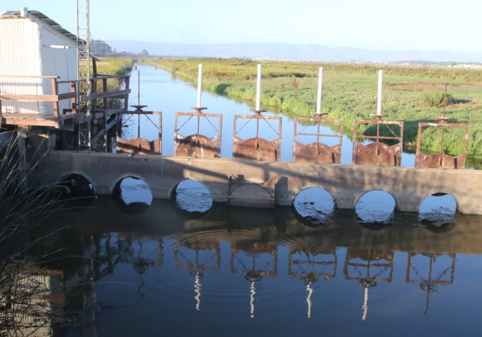 land trust Tarmo shot