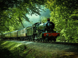 How To Prepare For A Long Train Journey? Old steam train going through forest