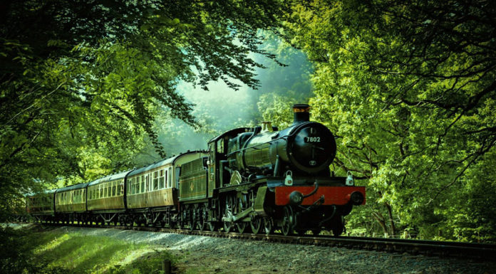 How To Prepare For A Long Train Journey? Old steam train going through forest