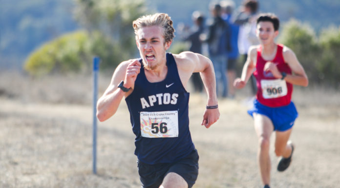 Mariners place third in Division III race | CCS boys cross country