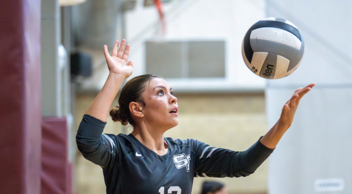 Sharks falls to University Prep in CCS quarterfinals | Weeklys Sports Roundup