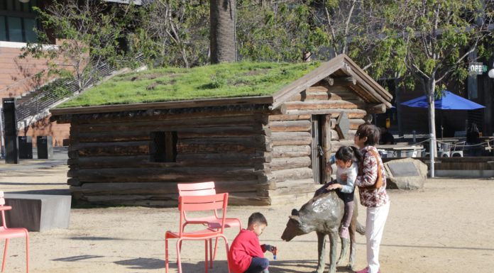 A different view: our short train trip to Oakland