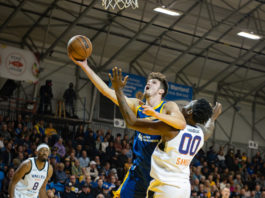 Santa Cruz Warriors tame Iowa Wolves to remain undefeated, 5-0 | NBA G League