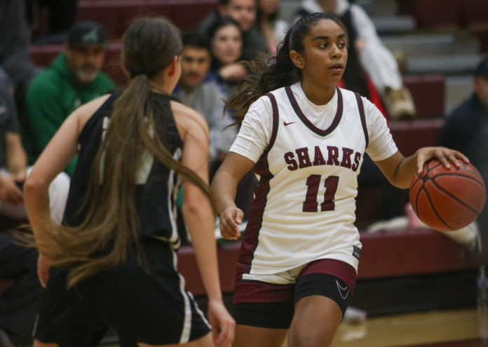 paj2505 Liliana Whitmeyer_St. Francis girls hoop_sports roundup-web-1