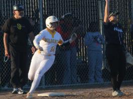 ‘Catz’s softball team edges Alisal in non-league thriller | Weeklys Sports Roundup