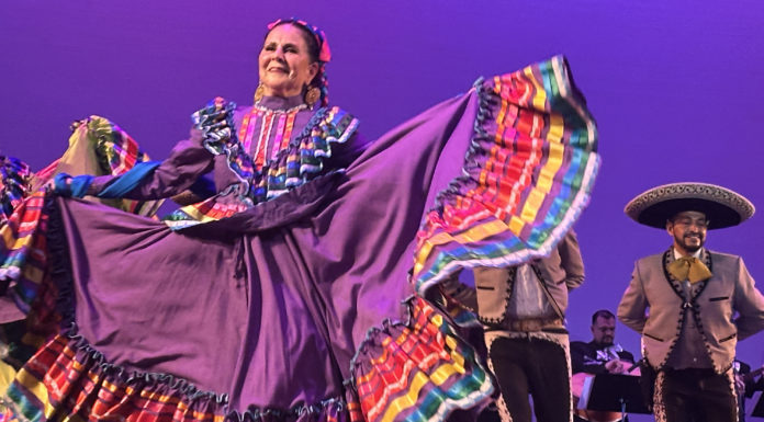 Janet Johns named artist of the year