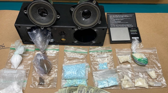 Police K9 helps nab Watsonville Fentanyl suspect