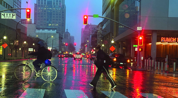 Digging up roots in Sacramento