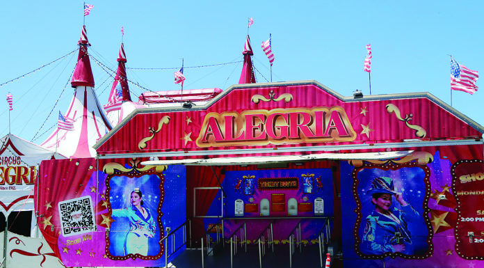 Photo story: The circus is in town