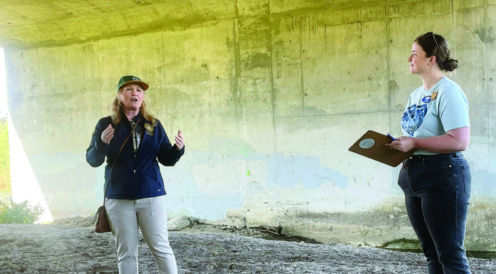 A community united: cleanup day draws hundreds