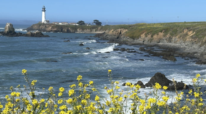 Taking in a slice of Half Moon Bay