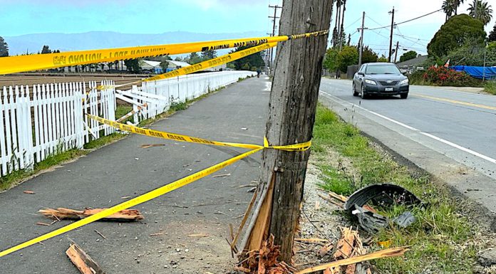 Photo story: Car smashes into utility pole