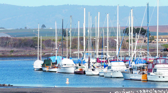 Man arrested in Moss Landing fight