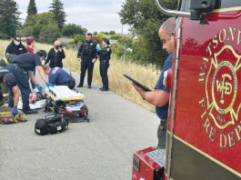 Watsonville City Council Cuts Vacant Positions in New Budget Police and paramedics at the scene of an accident
