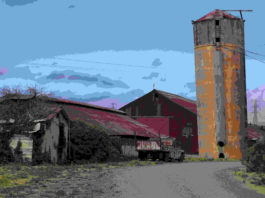 The tunes and flavors of Petaluma