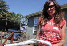 Two injured as remote-controlled plane crashes into party