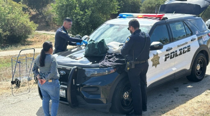 Watsonville police arrest a bank robbery suspect