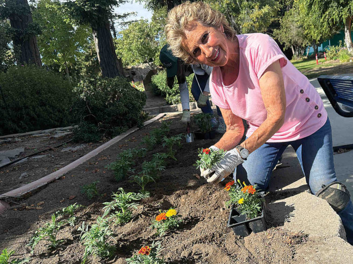 fair planting flower planting