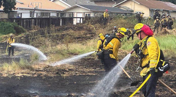 firefighters douse a grass fire on the 300 block of Amesti Road Friday.